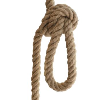 Preview: LX Lasso